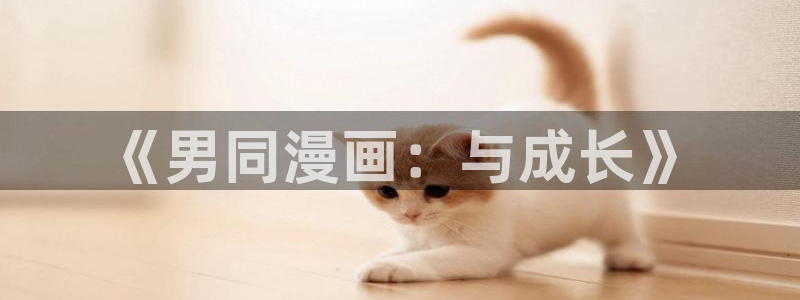 歪歪漫画在线观看免费版完整