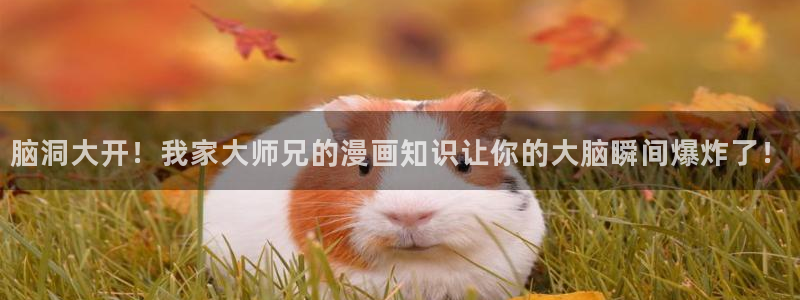 歪歪漫画在线阅读免费版在线阅读 新闻